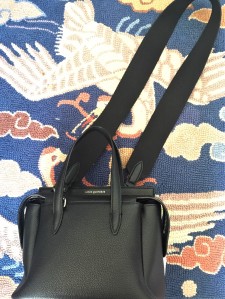 Does anyone own a Louis Quatorze? : r/handbags
